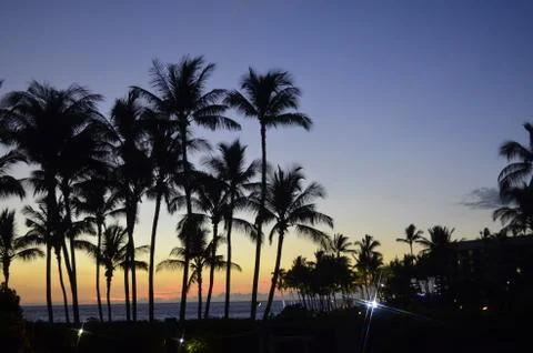 Tropical Sunset Stock Photos