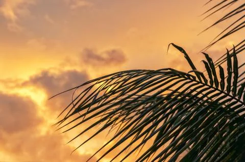 Tropical sunset Stock Photos