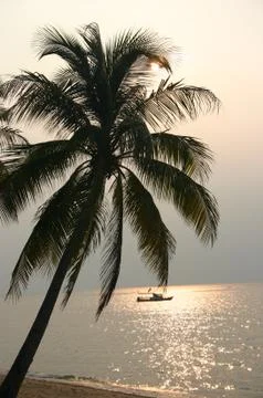 Tropical sunset Stock Photos