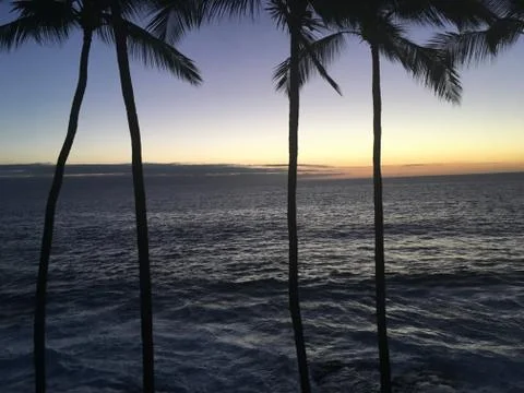 Tropical Sunset Stock Photos