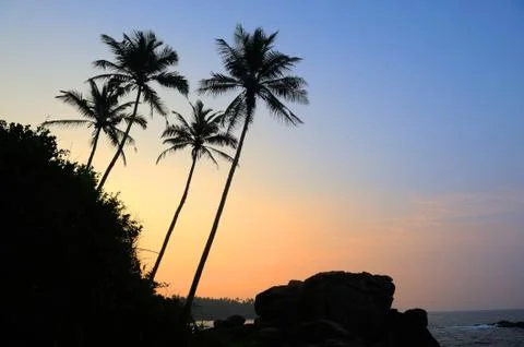Tropical sunset Foto stock