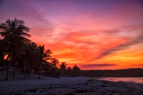 Tropical sunset Stock Photos