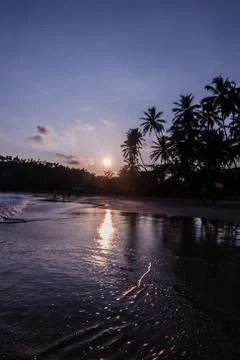 Tropical sunset Stock Photos