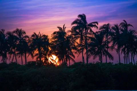 Tropical sunset Stock Photos