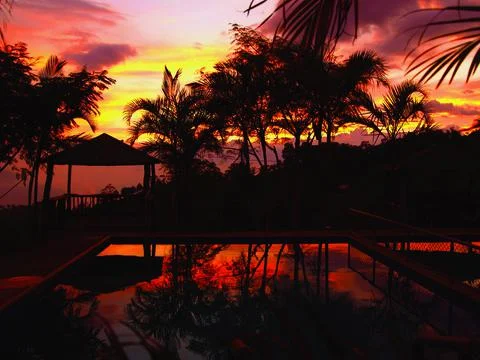 Tropical Sunset Stock-Fotos