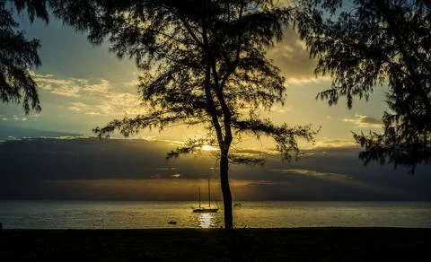 Tropical sunset Stock Photos