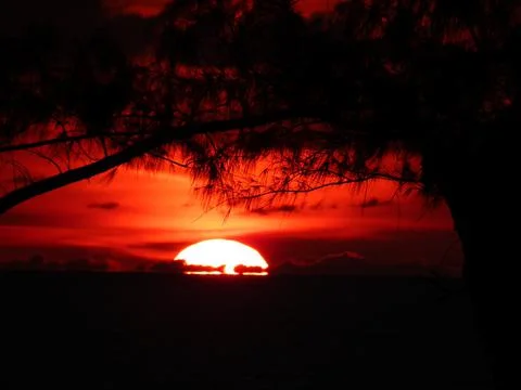 Tropical sunset Stock Photos