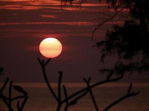 Tropical sunset Stock Photos