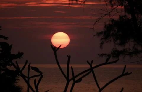 Tropical sunset Stock Photos