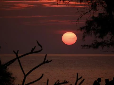Tropical sunset Stock Photos