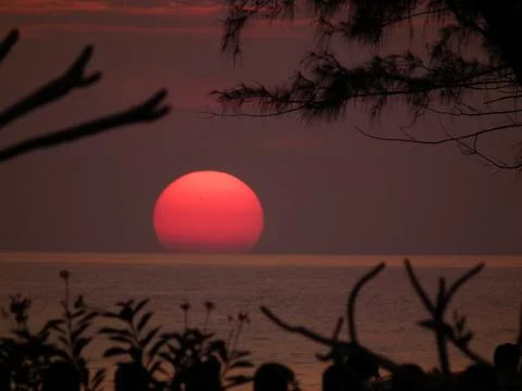 Tropical sunset Stock Photos