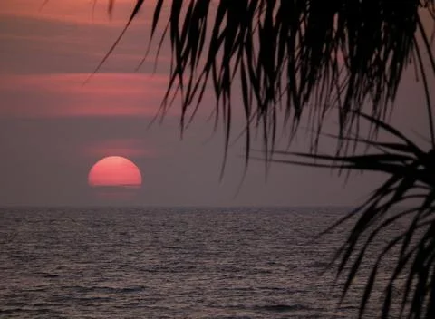 Tropical sunset Stock Photos