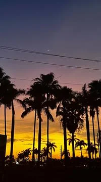 Tropical Sunset 스톡 사진