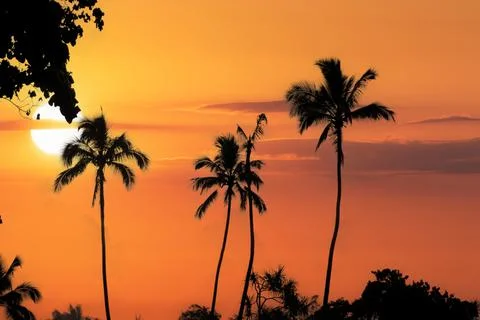 A tropical sunset Stock Photos