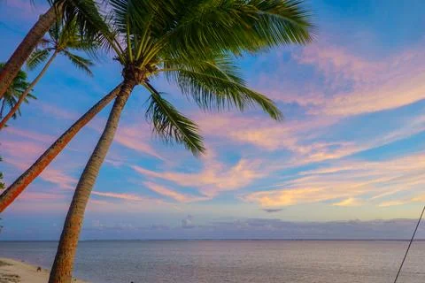 Tropical sunset 库存照片