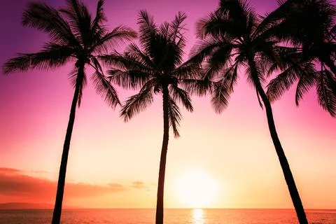 Tropical sunset Stock Photos