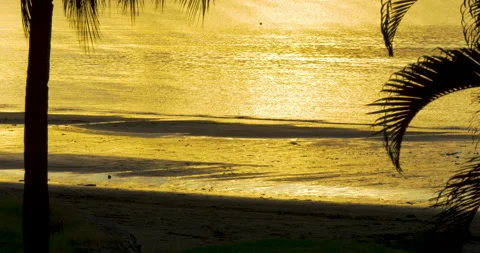 Tropical sunset with reflection in the ocean. palm trees silhouette. Stock Footage 132272541