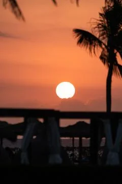 Tropical sunset shining over the ocean with palm trees and beach umbrellas Stock Photos