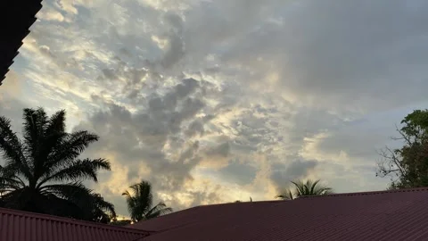 Tropical Sunset Sky with Dramatic Clouds and Palm Silhouettes Stock Footage 291646945