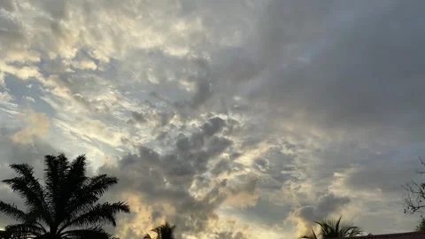 Tropical Sunset Sky with Dramatic Clouds and Palm Silhouettes Stock Footage 291646970