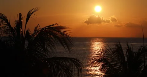 Tropical Sunset With Waves And Trees Stock-Footage 165131289