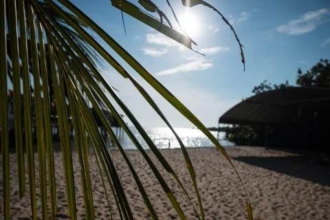 Tropical Sunshine Beach Stock Photos