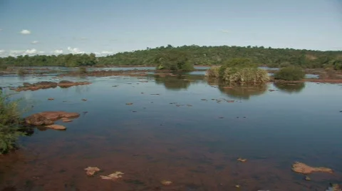 Tropical swamp 3 Stock Footage 462016