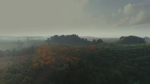 Tropical Thai cheo lan long national park jungles sunset drone flight, wild 스톡 동영상 87038093