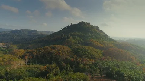 Tropical Thai cheo lan long national park jungles sunset drone flight, wild 動画素材 87038759