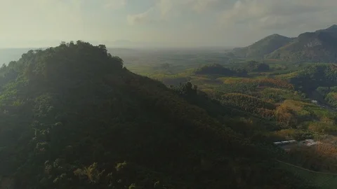Tropical Thai cheo lan long national park jungles sunset drone flight, wild Stock Footage 87041446