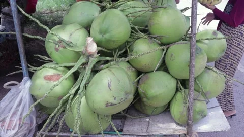 Tropical Thai Young Green Coconuts Displayed For Sell, Thai Street Food Vendor Stock Footage 229600371