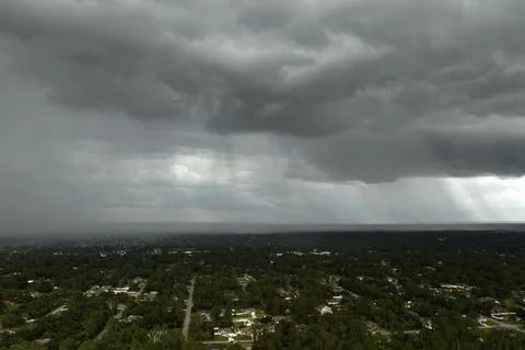 Tropical thunderstorm precipitation falling down on Florida town. Rain show.. Foto stock