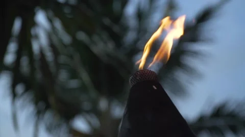 Tropical Tiki Torch flame rack focus shot in slow motion during twilight Video stock 152898536