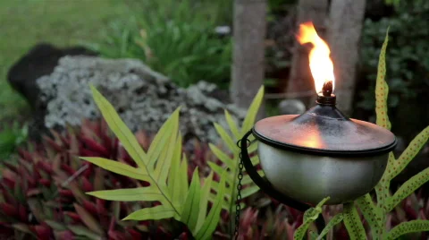 Tropical Tiki Torch 库存影片 874071