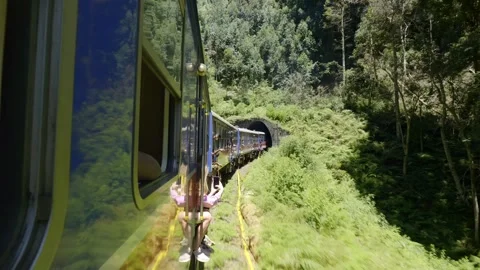 Tropical Train Ride Across Lush Hills in Sri Lanka Stock Footage 337058396