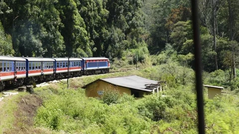 Tropical Train Ride Across Lush Hills in Sri Lanka Stock Footage 337058407