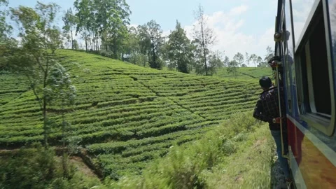Tropical Train Ride Across Lush Hills in Sri Lanka Stock Footage 337058413