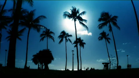 Tropical Travel Destinations Stock Footage