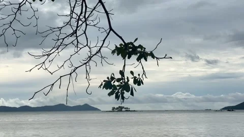 Tropical Tree Branches Overlooking Calm Sea Distant Island under Overcast Sky Stock Footage 330145516