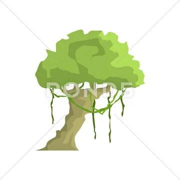 Tropical Tree With Liana Hanging Jungle Landscape Element Stock Illustration
