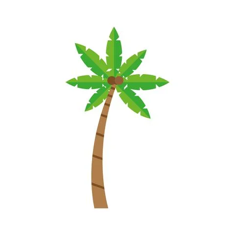 Tropical tree palm Stock Illustration