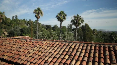 Tropical Treeline Stock Footage 40811729