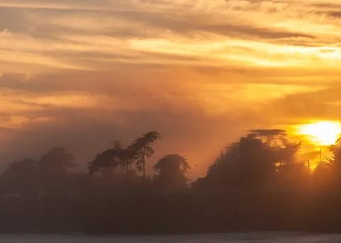 Tropical trees against a setting sun Stock Photos