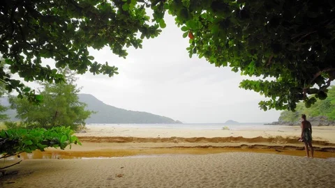 Tropical Trees on Beach Stock Footage 97796720