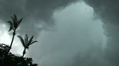 Tropical Trouble Stock Footage 399302