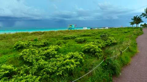 Tropical twilight 写真素材