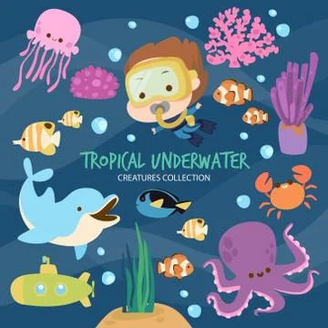 Tropical Underwater Creatures Stock Illustration