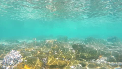 Tropical underwater ripples pattern reflection fish swimming island Thailand Stock Footage 142529286
