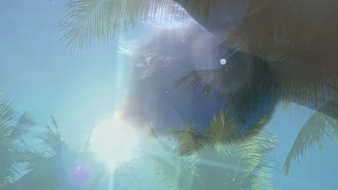 Tropical Underwater Slow Motion Overlay Stock Footage 105597786