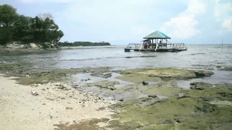 Tropical vacation Stock Footage 11421633